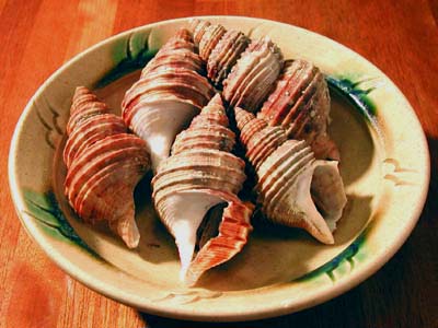 つぶ貝の煮貝