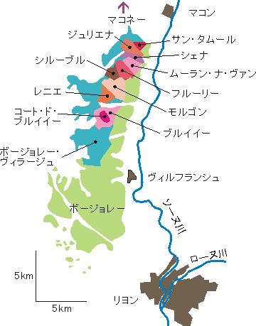 ボジョレー(Beaujolais)