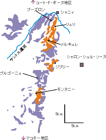 コート シャロネーズ地区のワイン おいしい 食卓